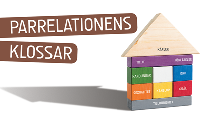 Parrelationens klossar (50st.)