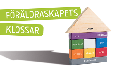 Föräldraskapets klossar (50 st.)